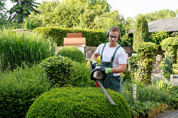 Best Lawn Irrigation Installation and Maintenance  in Winter Springs, FL